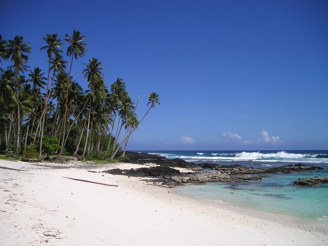 tropická pláž